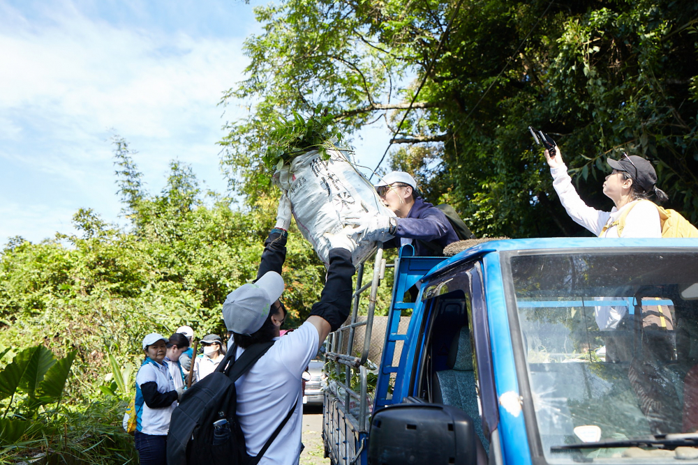 友達串聯志工組成水環境巡守隊，針對霄裡溪沿岸3公里的小花蔓澤蘭，定期進行移除與防治工作